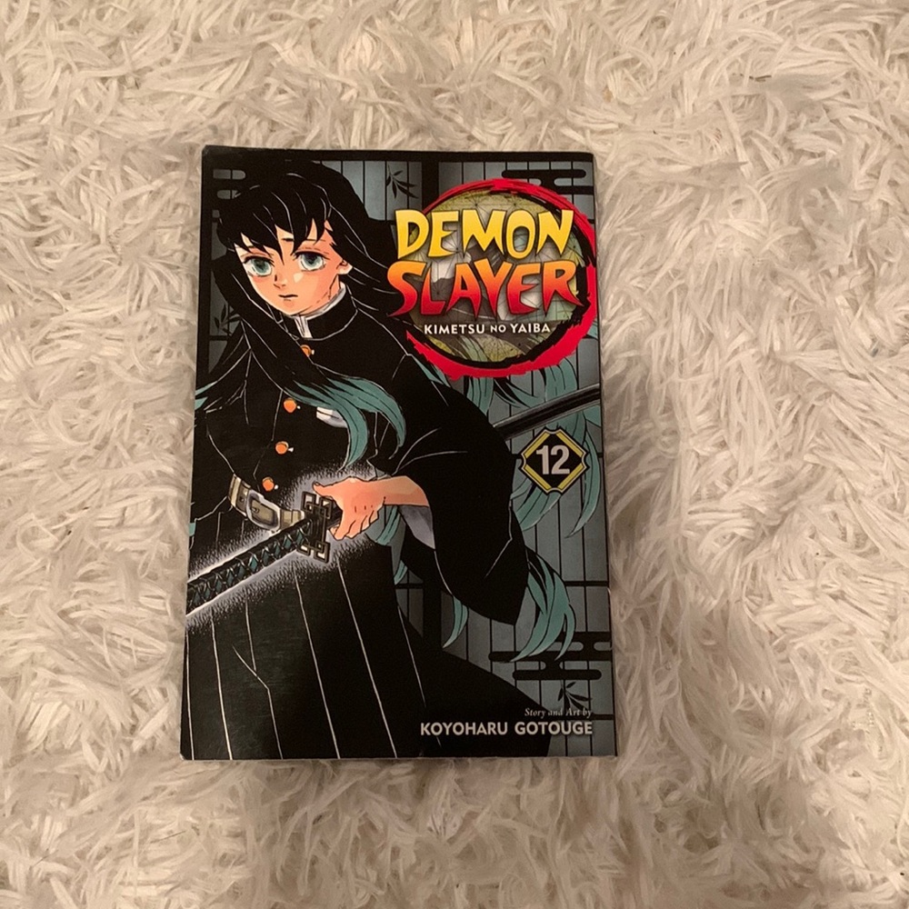 Demon slayer manga, volume 12